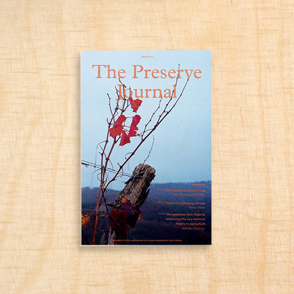 KIOSK-newsletter-magazine-preserve-journal