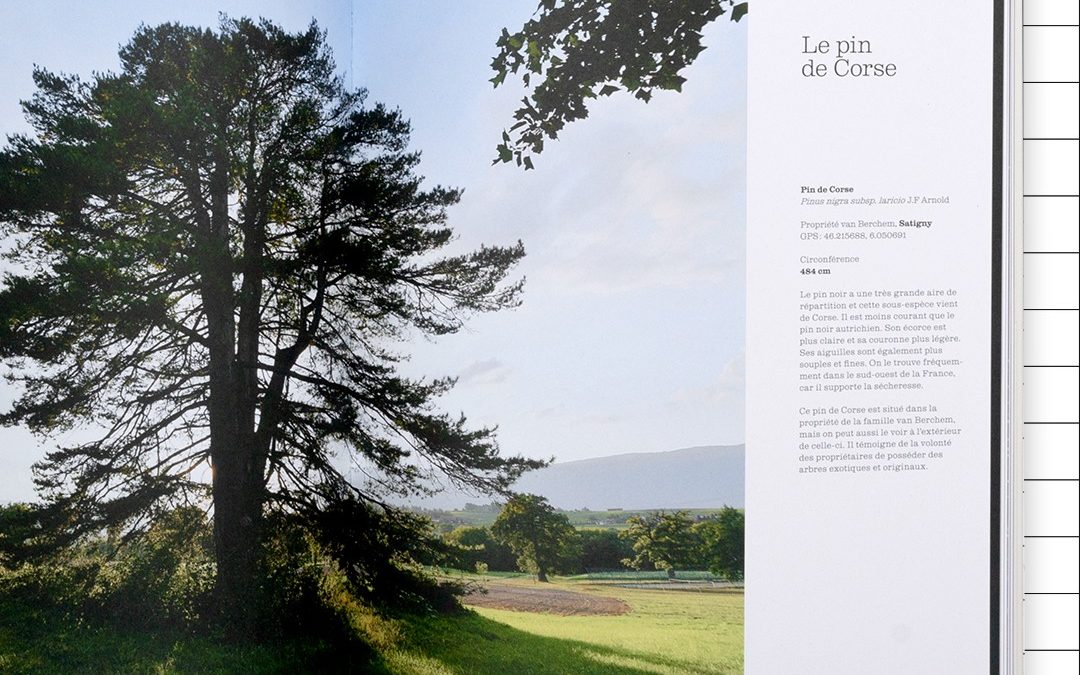 La nouvelle édition «Des arbres remarquables» est disponible