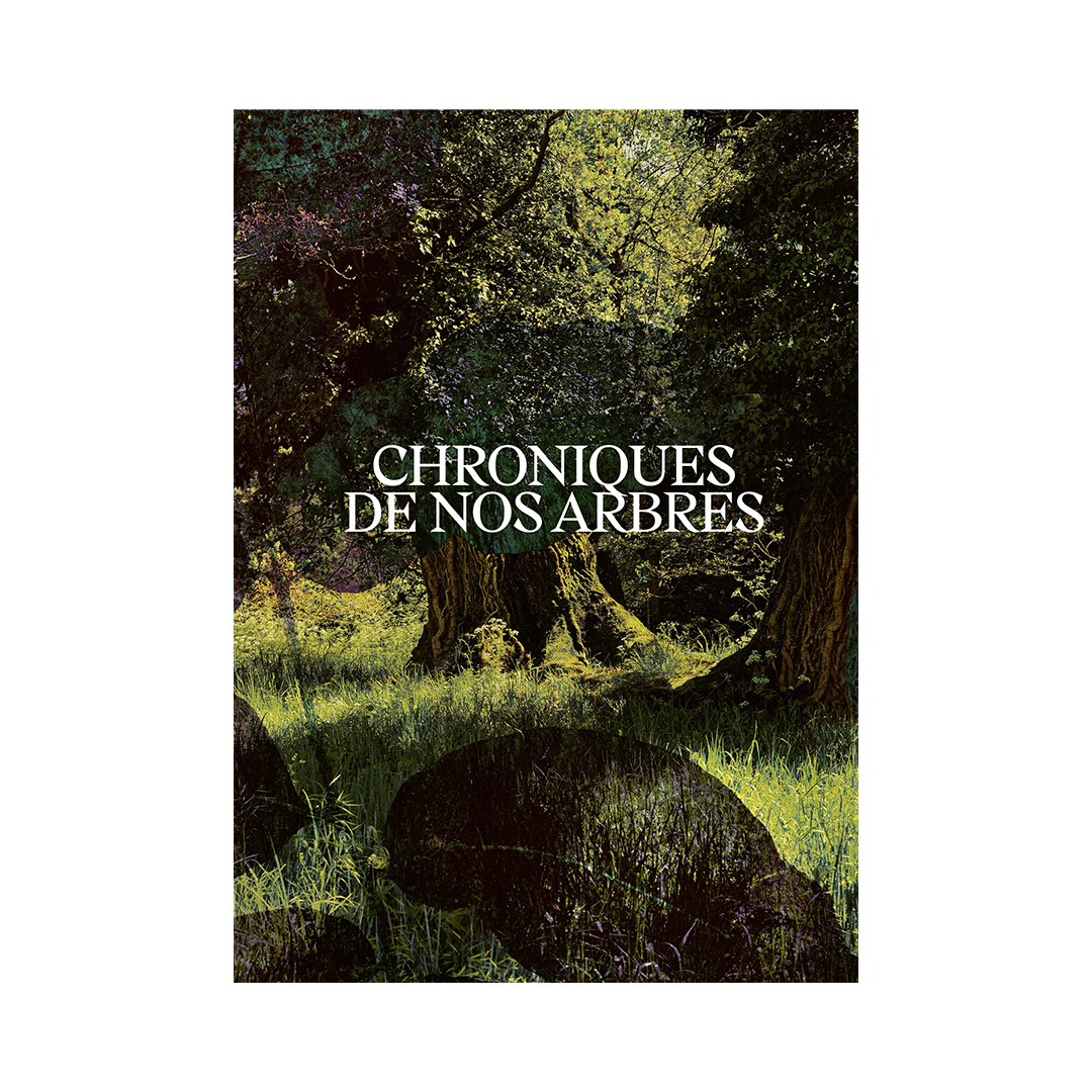 LN_Kiosk_Site_Chroniques de nos arbres | Large/Kiosk Book cover with a sunlit forest scene and the title Chroniques de nos arbres in white lettering across the center.